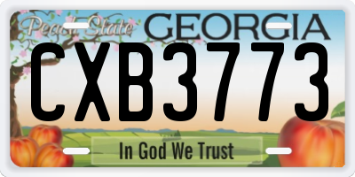GA license plate CXB3773