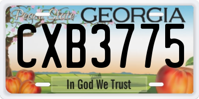 GA license plate CXB3775
