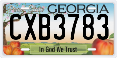 GA license plate CXB3783