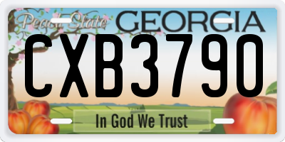 GA license plate CXB3790