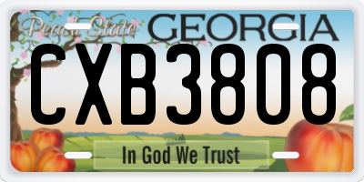 GA license plate CXB3808