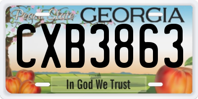 GA license plate CXB3863