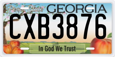 GA license plate CXB3876