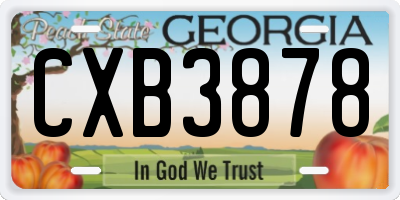 GA license plate CXB3878