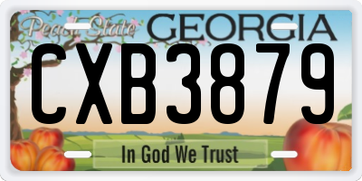 GA license plate CXB3879