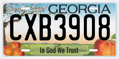 GA license plate CXB3908