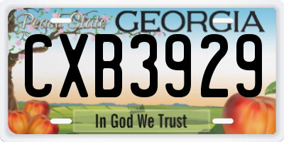 GA license plate CXB3929