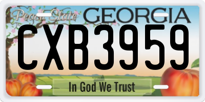 GA license plate CXB3959