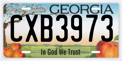 GA license plate CXB3973