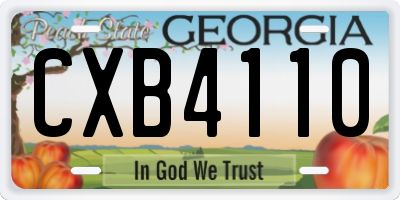 GA license plate CXB4110