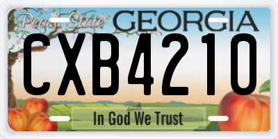 GA license plate CXB4210