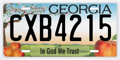 GA license plate CXB4215
