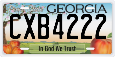 GA license plate CXB4222