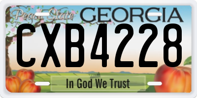 GA license plate CXB4228