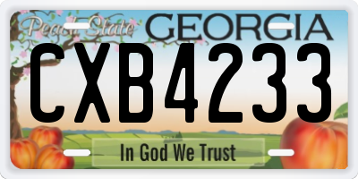 GA license plate CXB4233