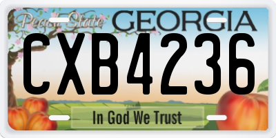 GA license plate CXB4236