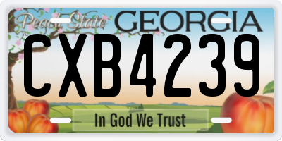 GA license plate CXB4239