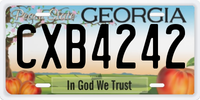 GA license plate CXB4242