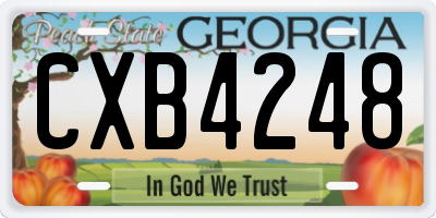 GA license plate CXB4248