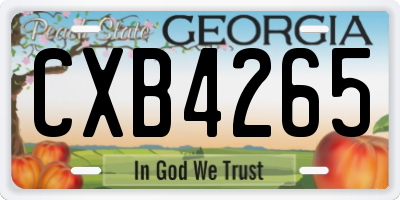 GA license plate CXB4265