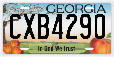 GA license plate CXB4290