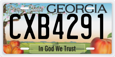 GA license plate CXB4291