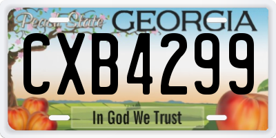 GA license plate CXB4299
