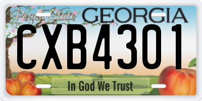 GA license plate CXB4301