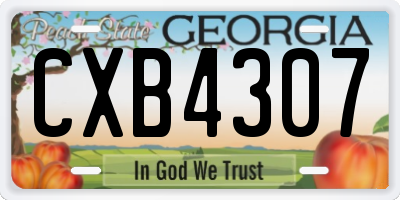 GA license plate CXB4307