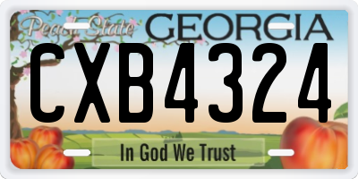 GA license plate CXB4324