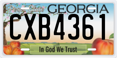 GA license plate CXB4361