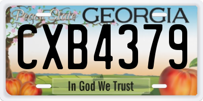 GA license plate CXB4379