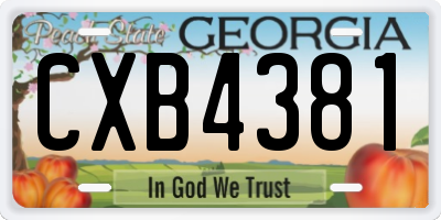 GA license plate CXB4381