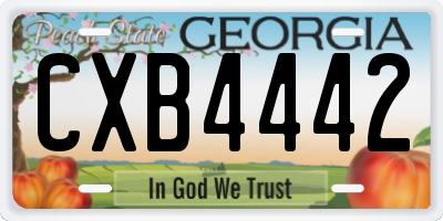 GA license plate CXB4442