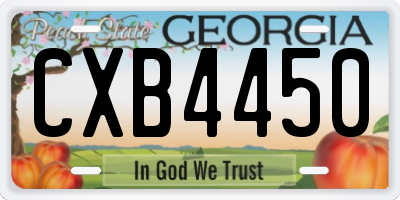 GA license plate CXB4450