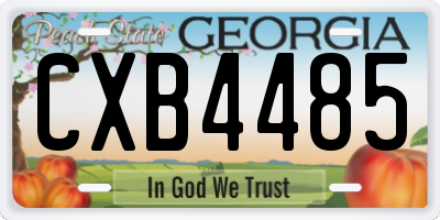 GA license plate CXB4485