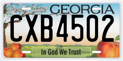 GA license plate CXB4502