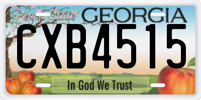 GA license plate CXB4515
