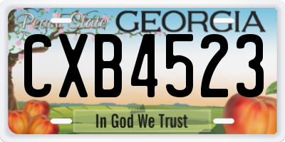 GA license plate CXB4523