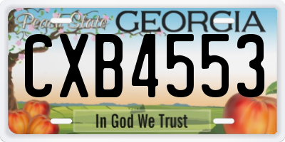 GA license plate CXB4553
