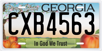 GA license plate CXB4563