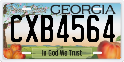 GA license plate CXB4564