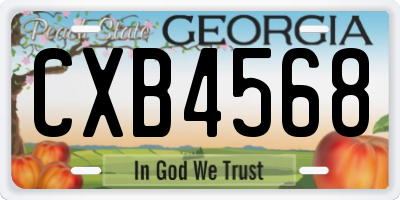 GA license plate CXB4568