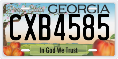 GA license plate CXB4585