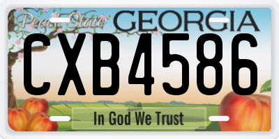 GA license plate CXB4586