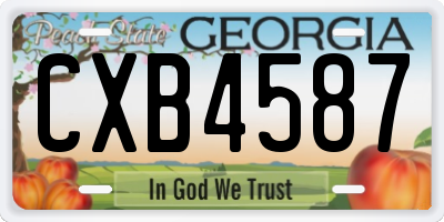 GA license plate CXB4587