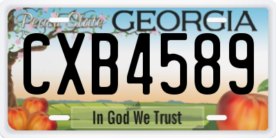 GA license plate CXB4589