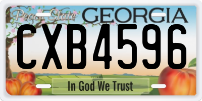 GA license plate CXB4596