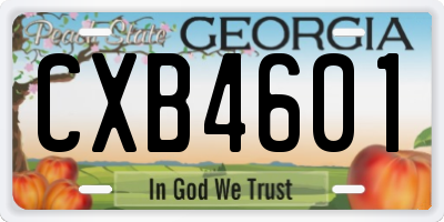 GA license plate CXB4601