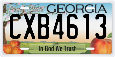GA license plate CXB4613